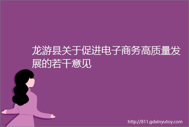 龙游县关于促进电子商务高质量发展的若干意见